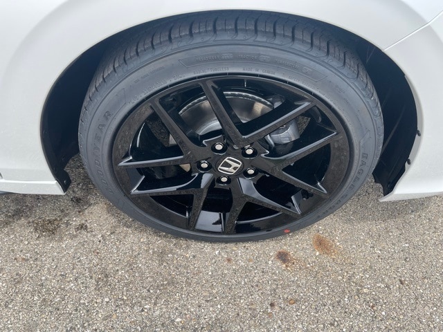 Image 12