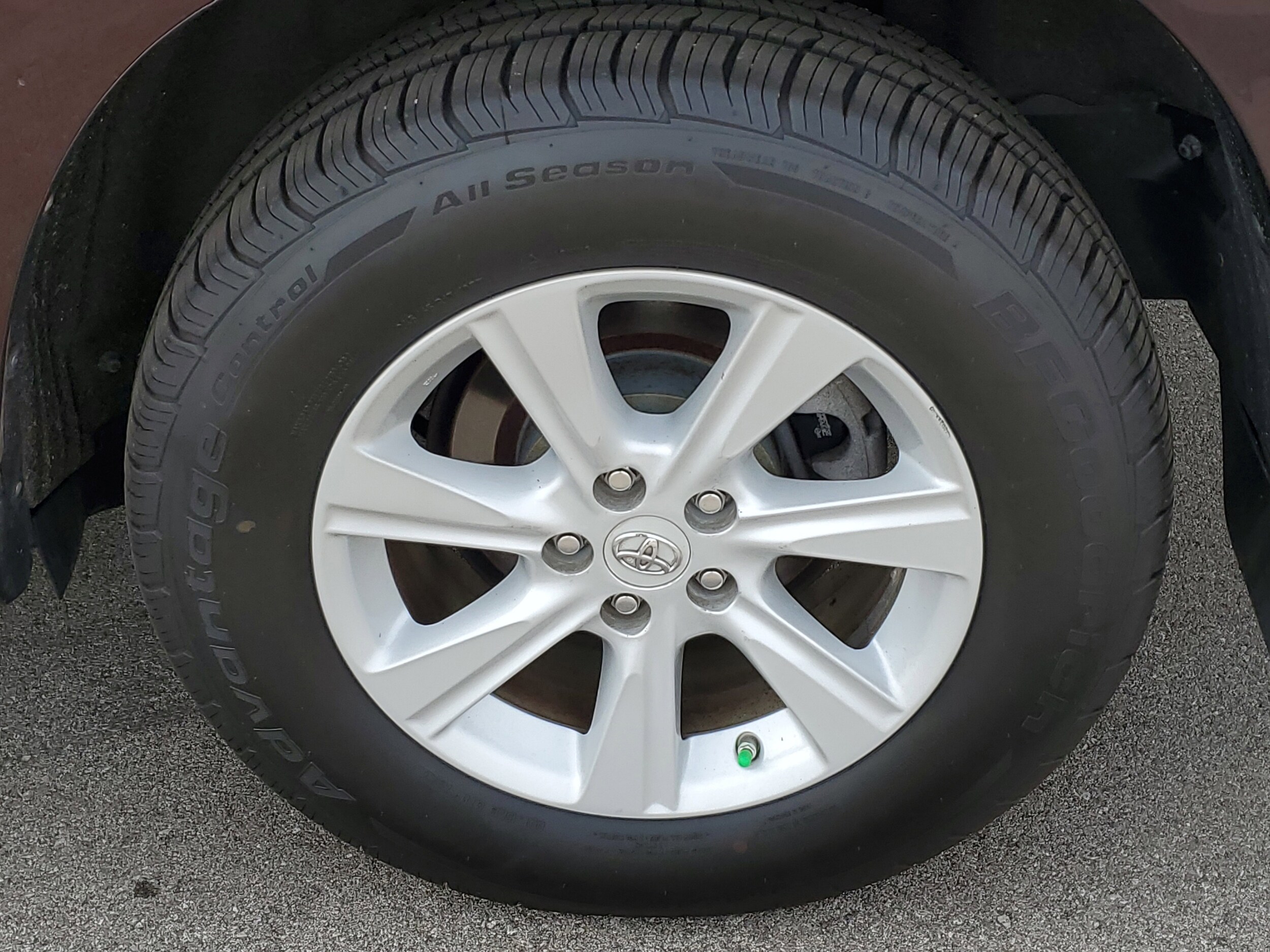 Image 8