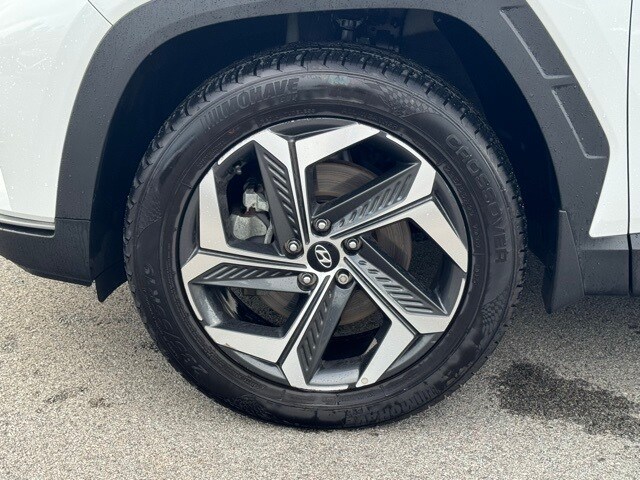 Image 9