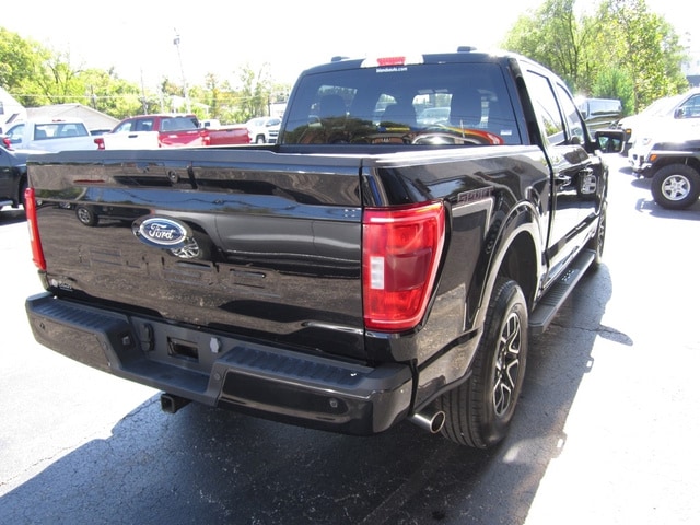 Image 4