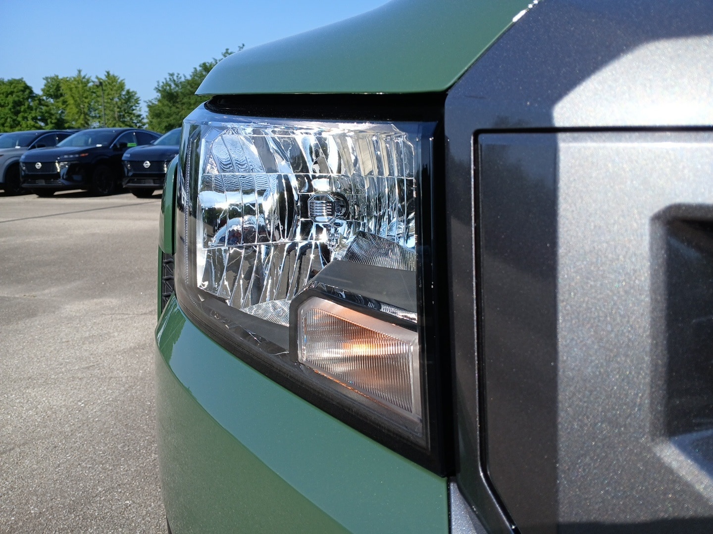 Image 6