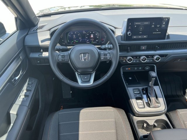 Image 15