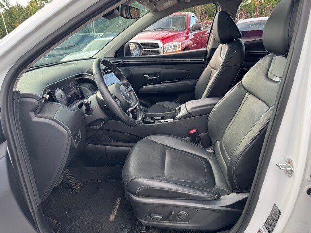 Image 12