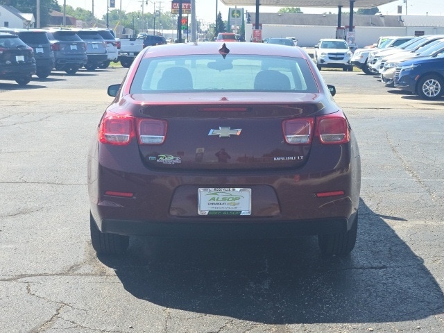 Image 7