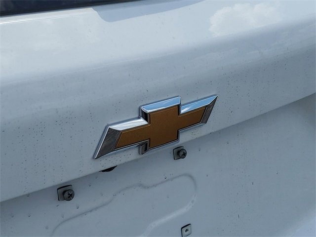 Image 13
