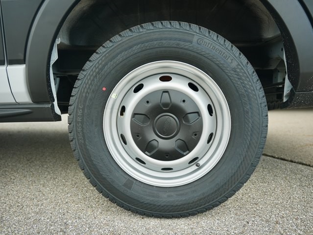 Image 19