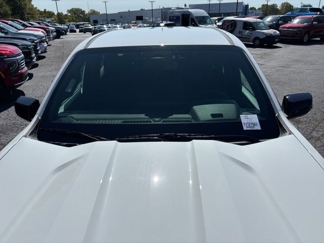 Image 9