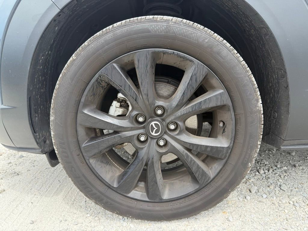 Image 12