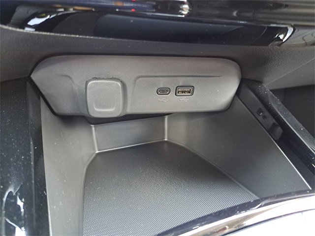 Image 19