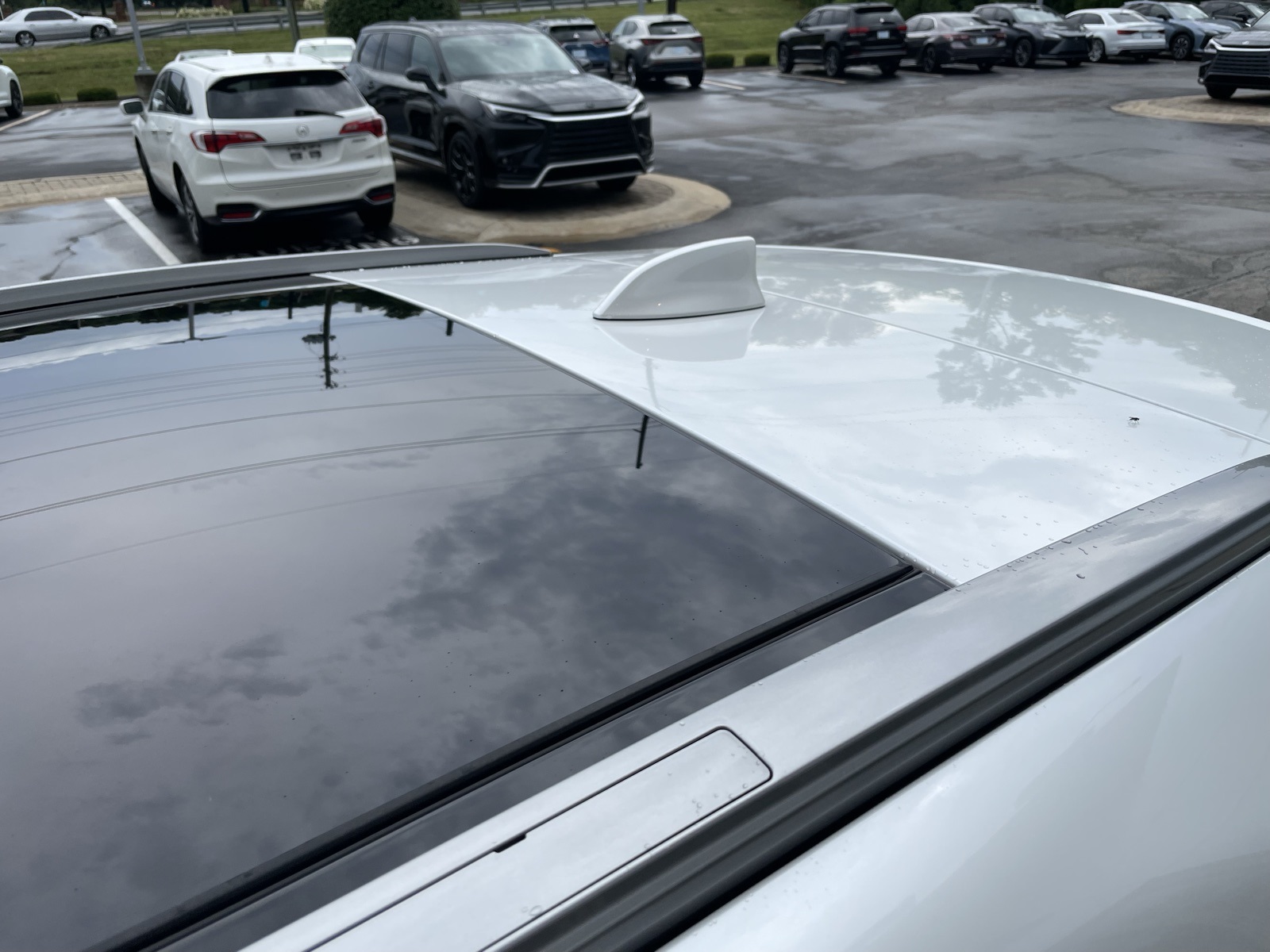 Image 9