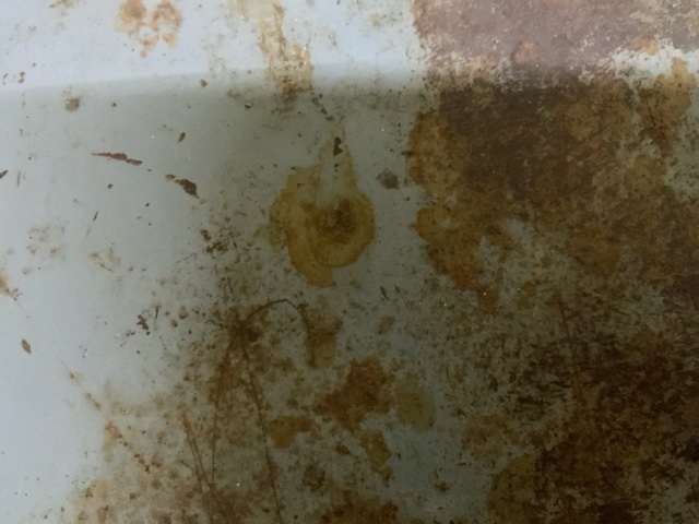 Image 44