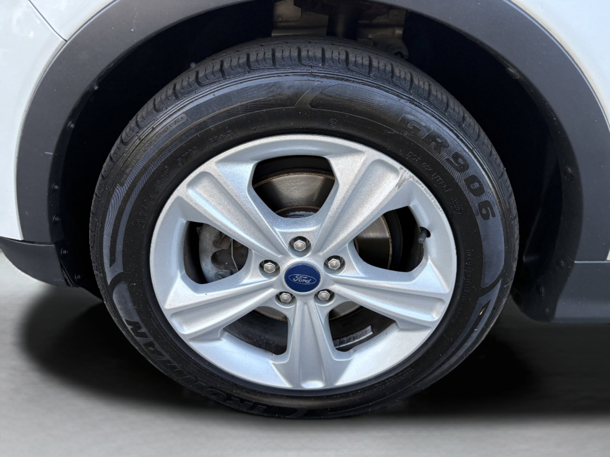 Image 7
