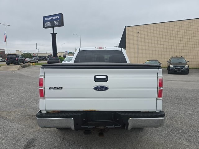 Image 6