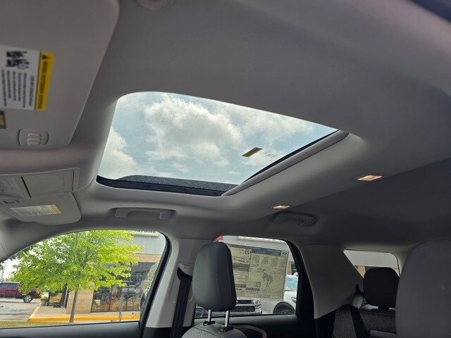 Image 19