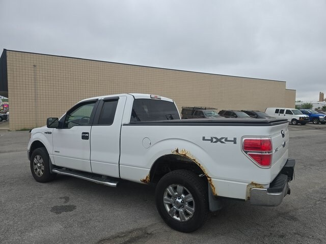 Image 7
