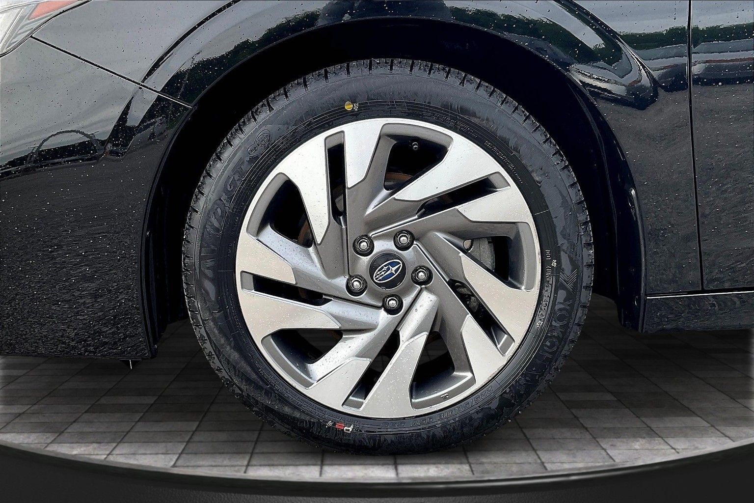 Image 7