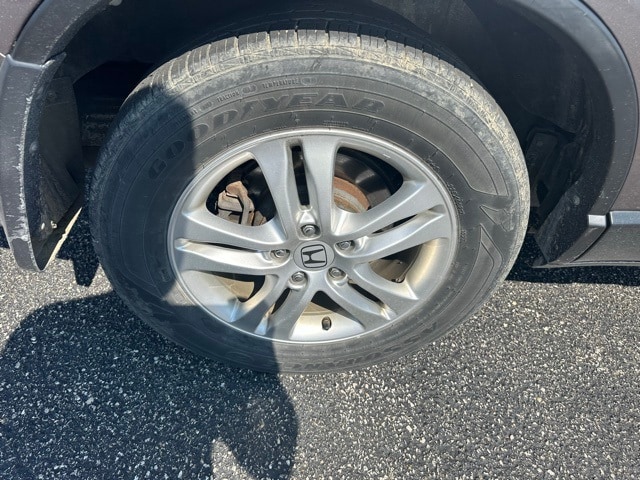 Image 19