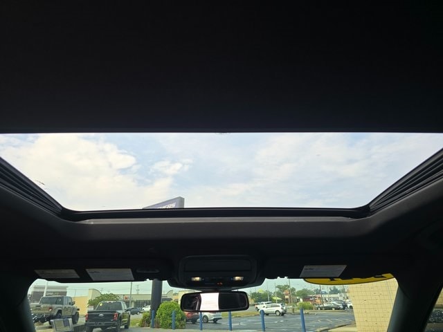 Image 17