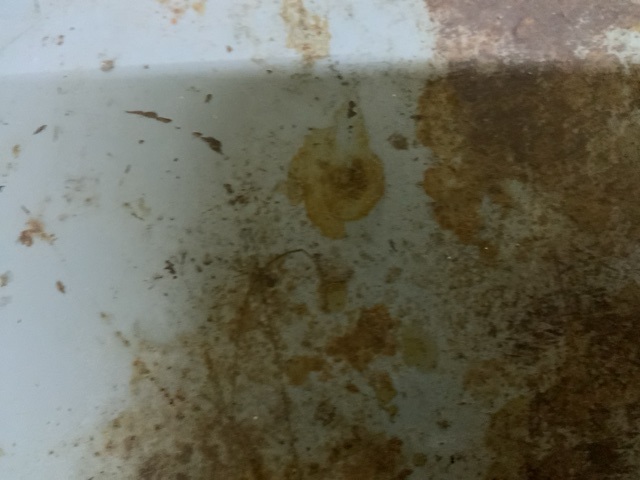 Image 43