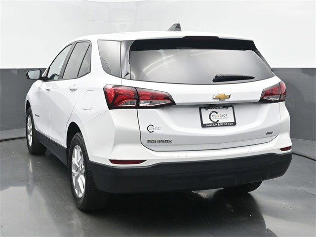 Image 4