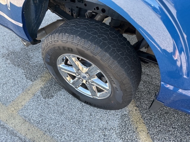 Image 10