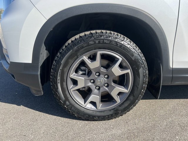 Image 12