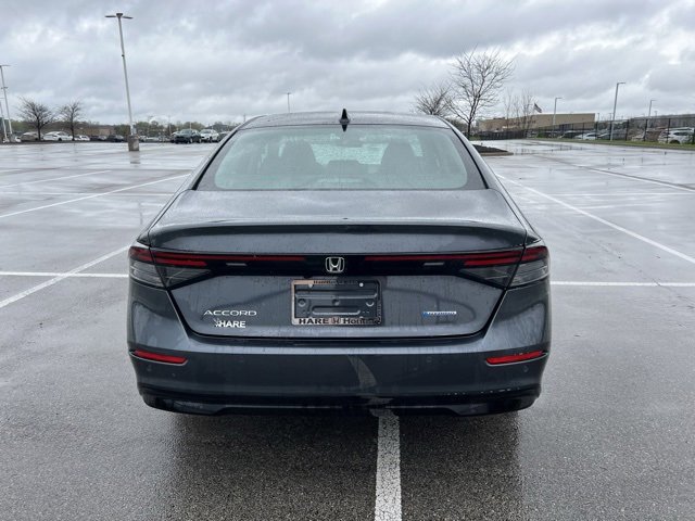 Image 8