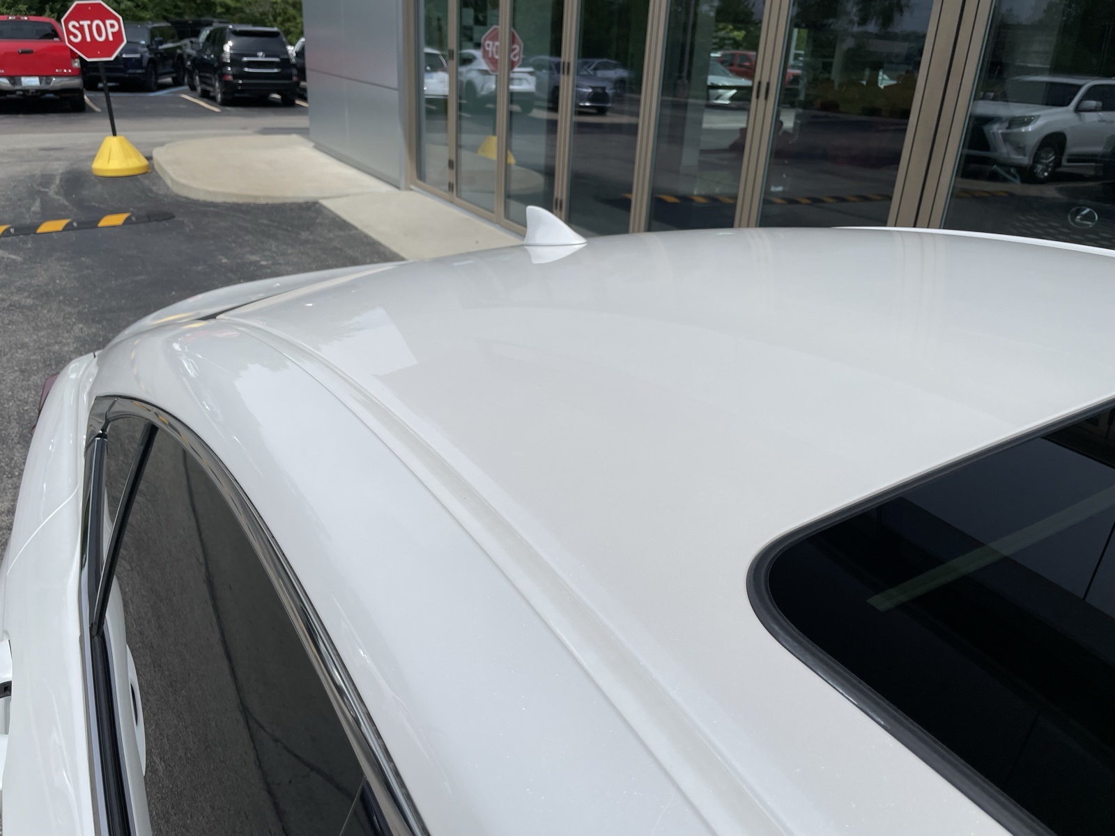 Image 8