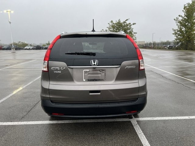 Image 10