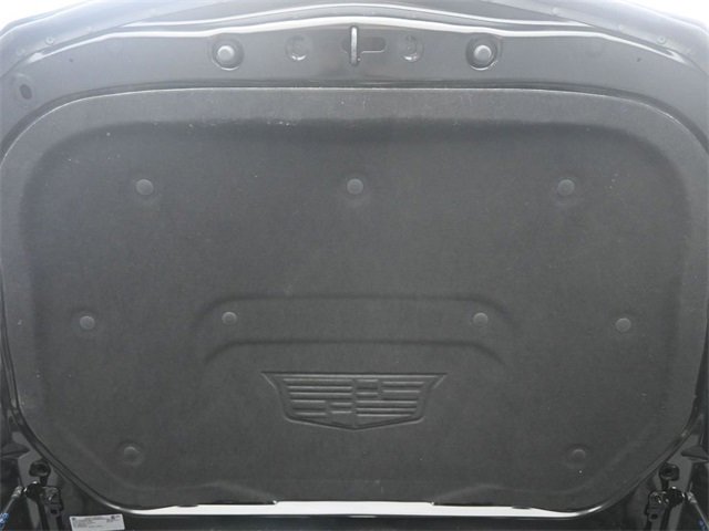 Image 21