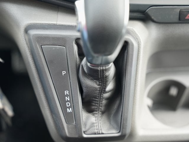 Image 19