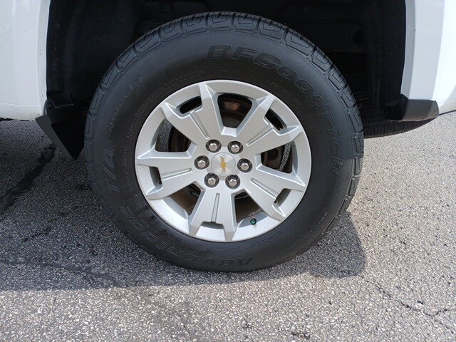 Image 19