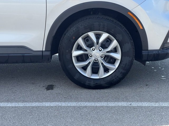 Image 11