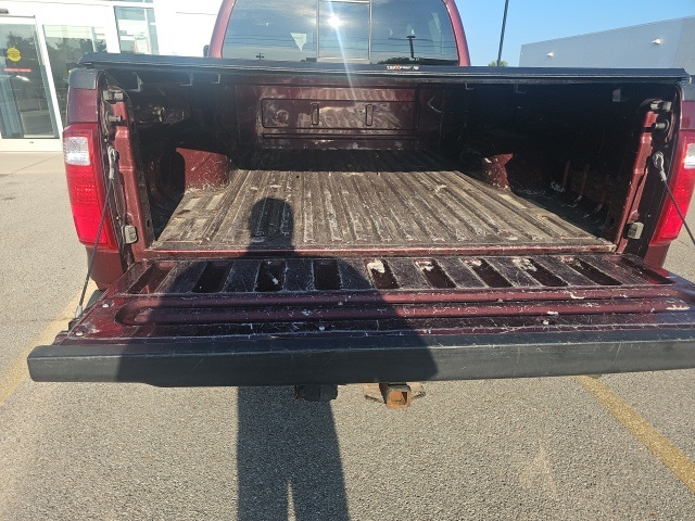 Image 8