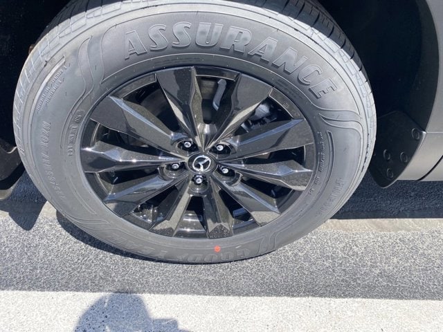 Image 8