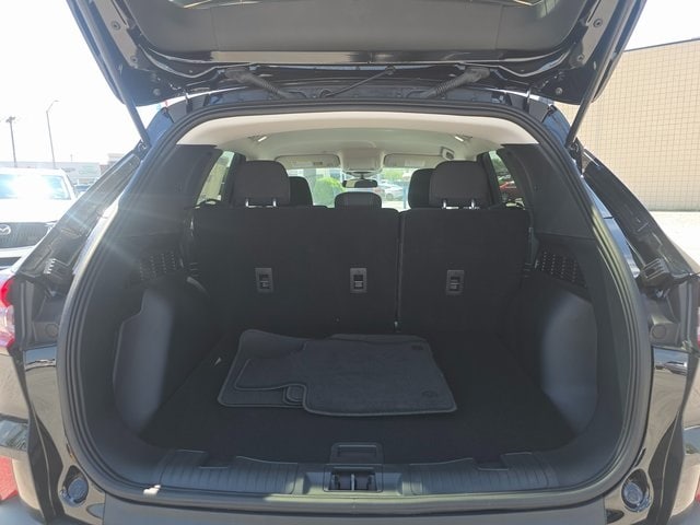 Image 7