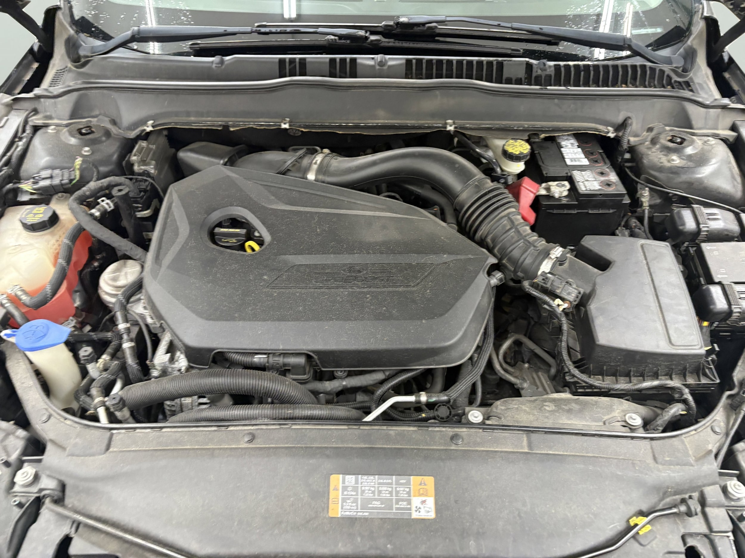 Image 8