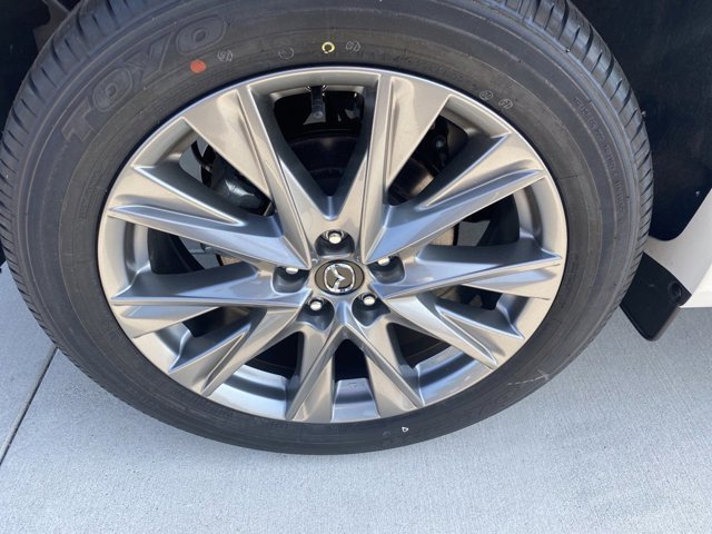 Image 8