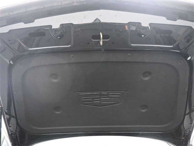 Image 21