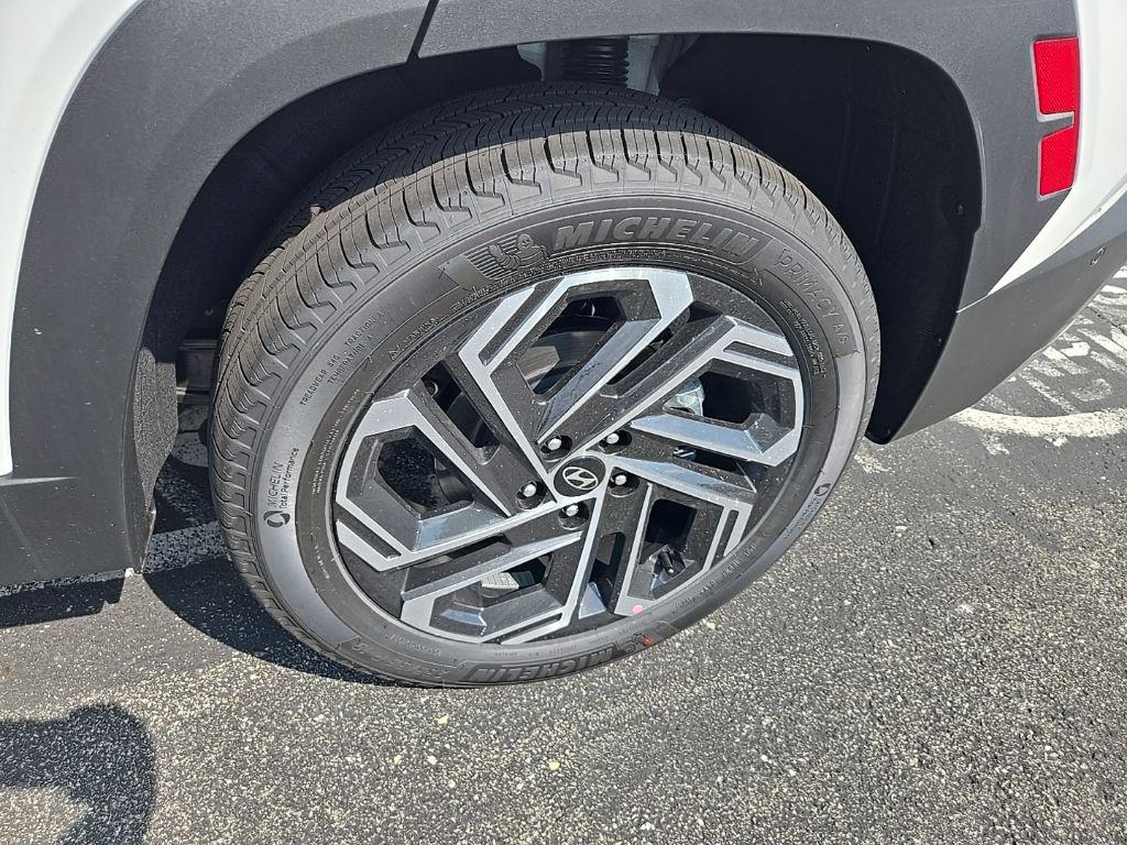 Image 8