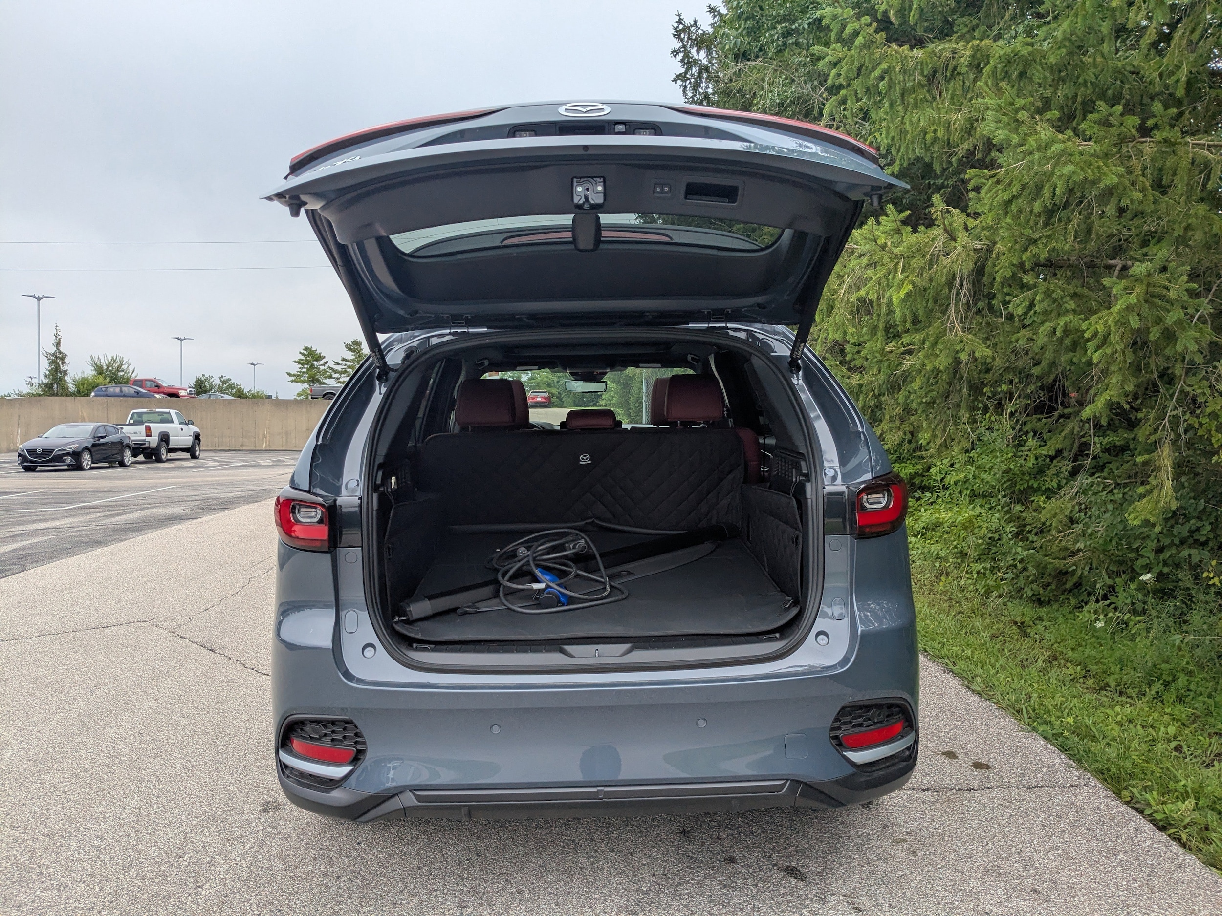 Image 19