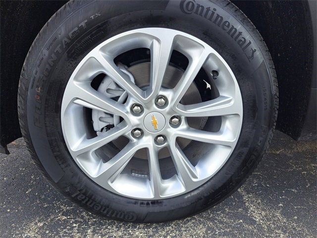Image 8