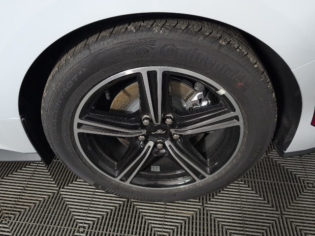 Image 8