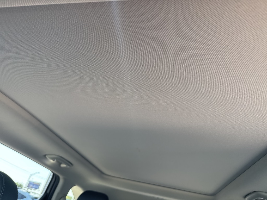 Image 19
