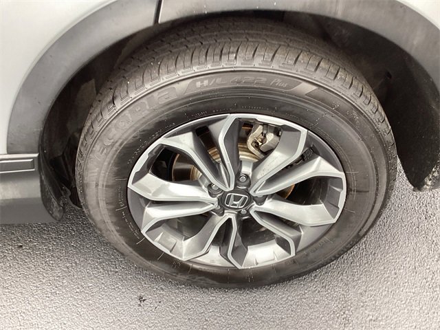Image 11