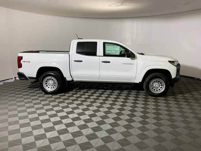 Image 6