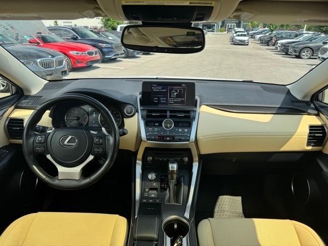 Image 11