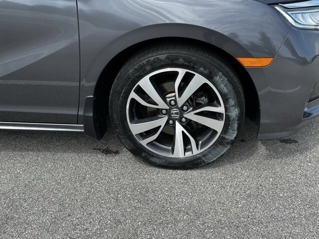 Image 11