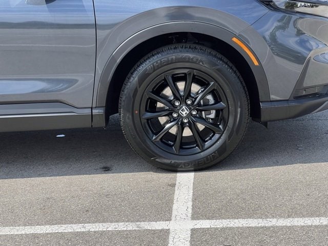 Image 12