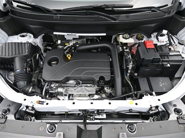 Image 22
